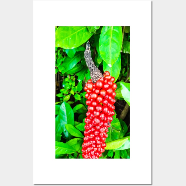 Red peppercorn with bird beak Wall Art by kall3bu